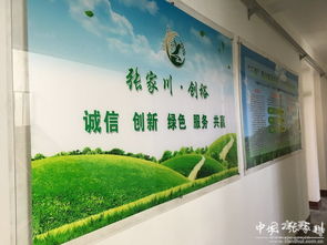 张家川县创裕农业产业发展正式成立 助力农林牧业高质量融合