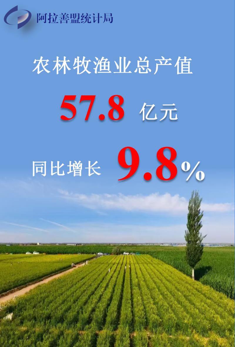 跑出&ldquo;加速度&rdquo; !2024年阿拉善盟经济运行成绩单成色十足