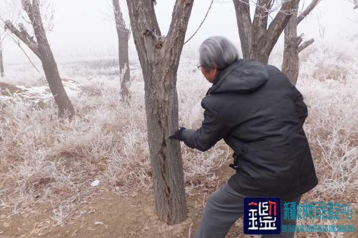 来自: 新疆农林牧业司法鉴定中心